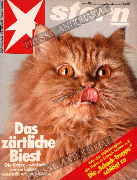 Stern Magazin, 23.12.1981 bis 29.12.1981